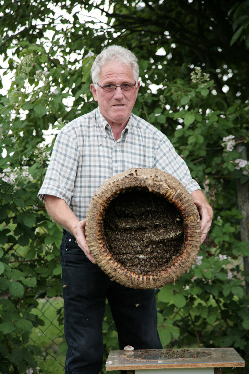 Walter Flohr zeigt die Unterseite des historischen Korbes. Hier kann man genau den Aufbau erkennen. Ein solcher Bienenkorb kann 25kg und mehr wiegen